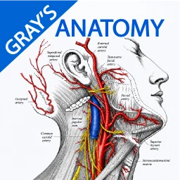 Gray's Anatomy - Anatomy Atlas simgesi